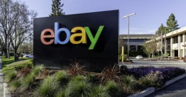 eBay Partner Network Review
